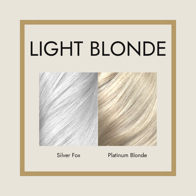Poster saying 'light blonde', showing hair extension colour Silver Fox, and hair extension colour Platinum Blonde